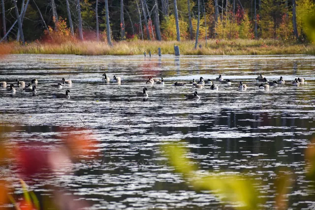 $1,495,000 | 54 Carver Road, Milo, ME 04463