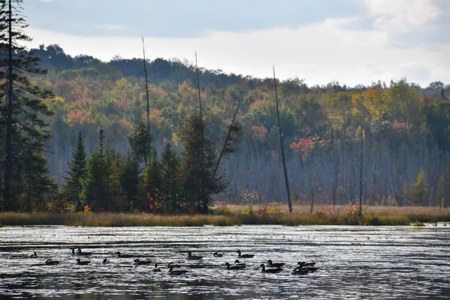 $1,495,000 | 54 Carver Road, Milo, ME 04463