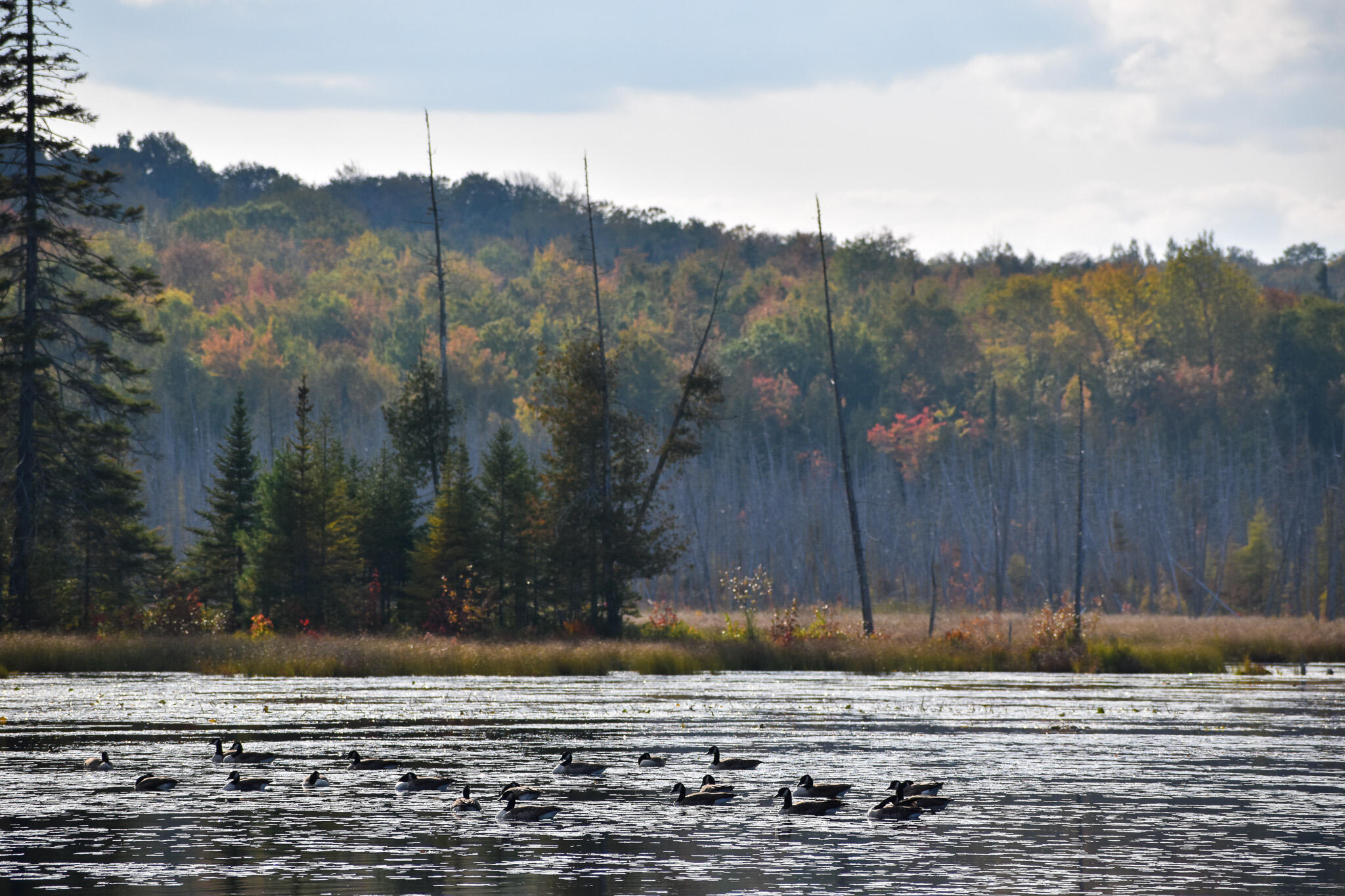 54 Carver Road Milo, ME 04463 - Photo 82 of 89 DSC_0128
