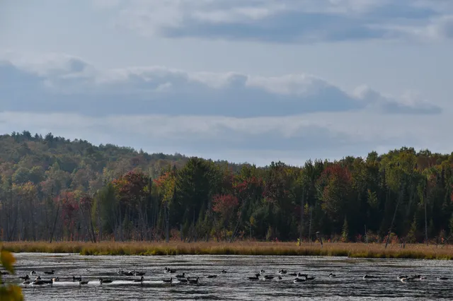 $1,495,000 | 54 Carver Road, Milo, ME 04463