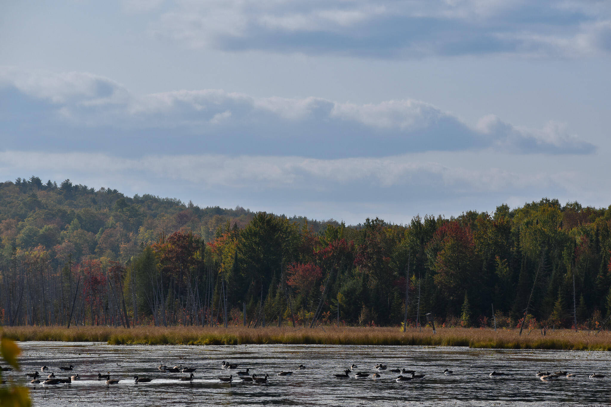 54 Carver Road Milo, ME 04463 - Photo 83 of 89 DSC_0131