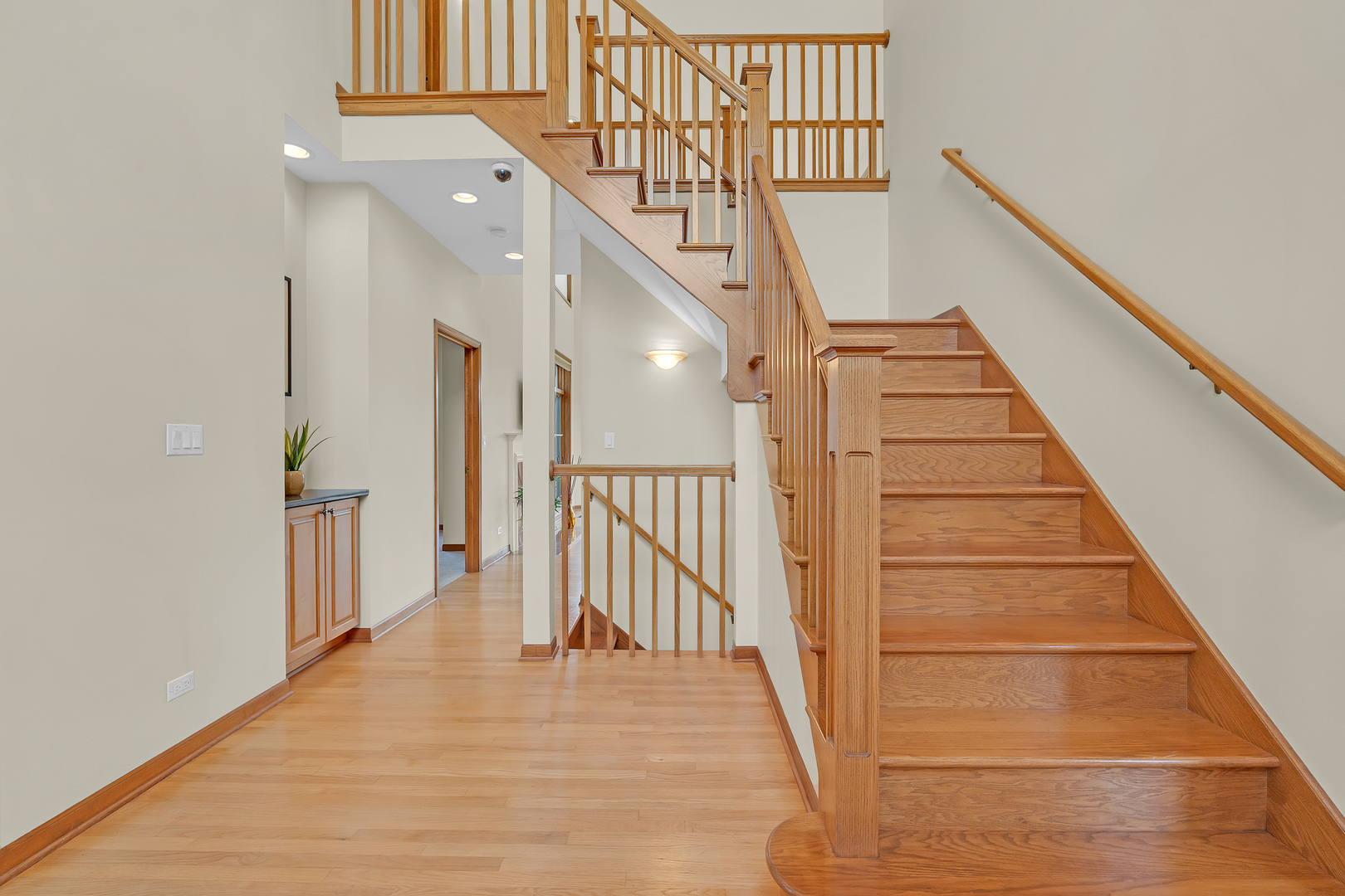 1340 Dunrobin Road Naperville, IL 60540 - Photo 4 of 46 Gallery Image 4