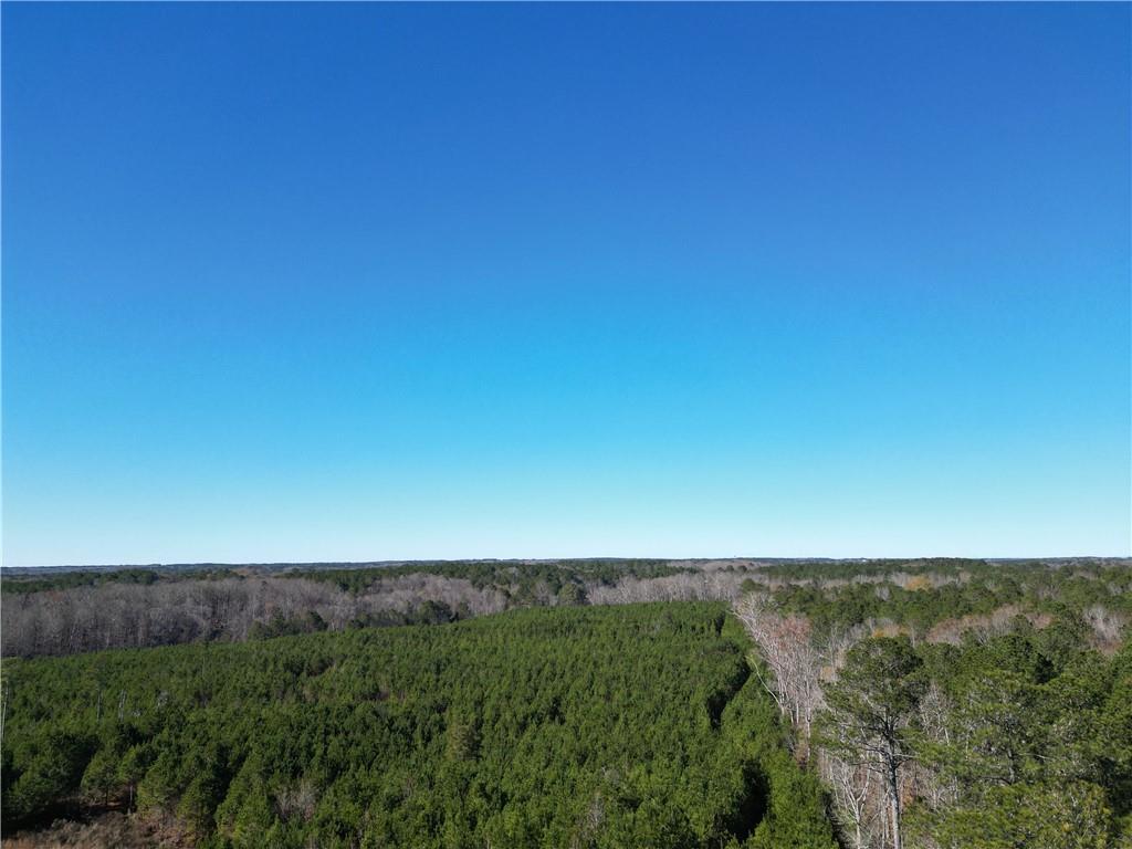 0 Jaudon Road Elberton, GA 30635 - Photo 4 of 7