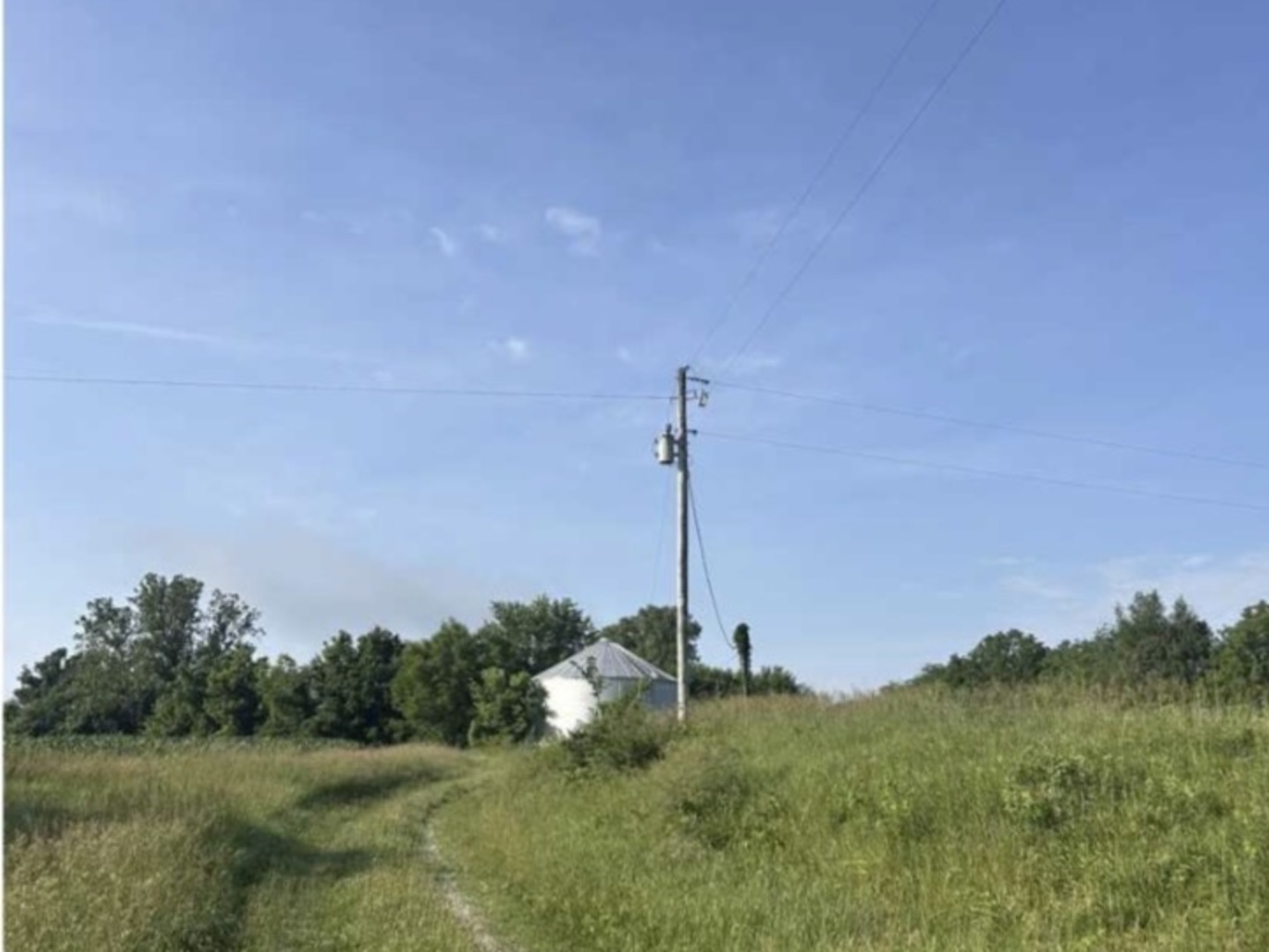 130 N Avenue Versailles, IL 62378 - Photo 4 of 4 a view of a garden with a tree in a back