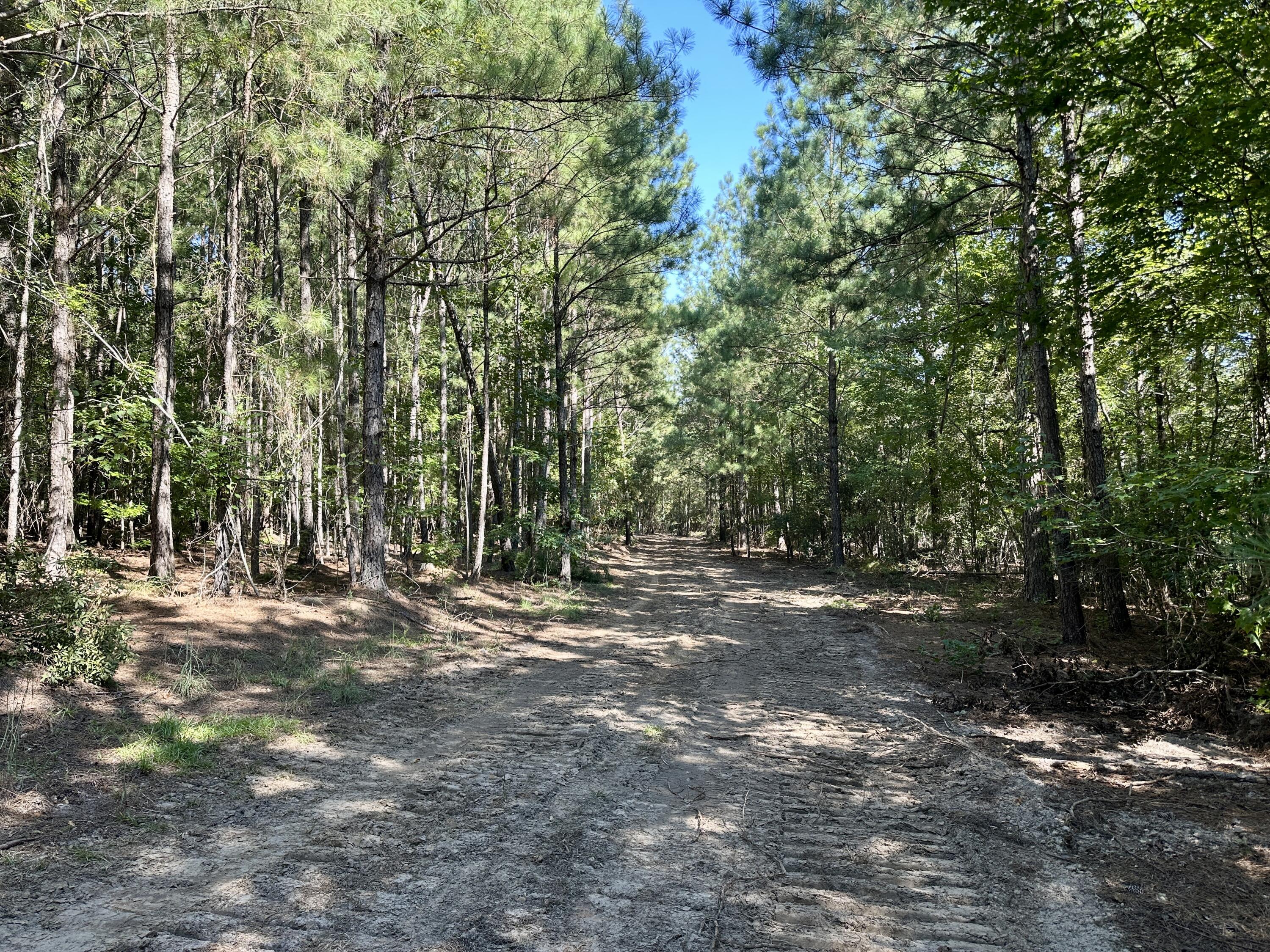 3021 Salley Road Salley, SC 29137 - Photo 40 of 73