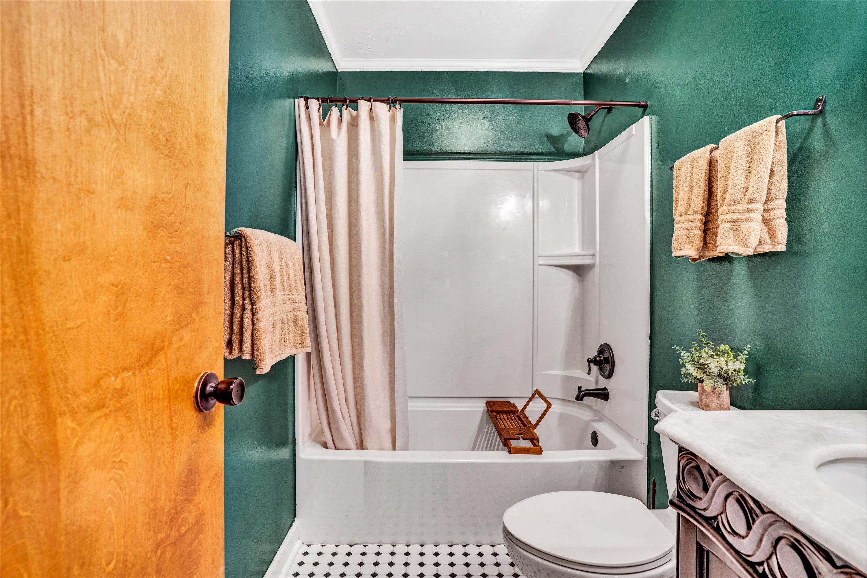 1033 Hickory Falls Road Blue Ridge, VA 24064 - Photo 20 of 52 a bathroom with a sink toilet and shower