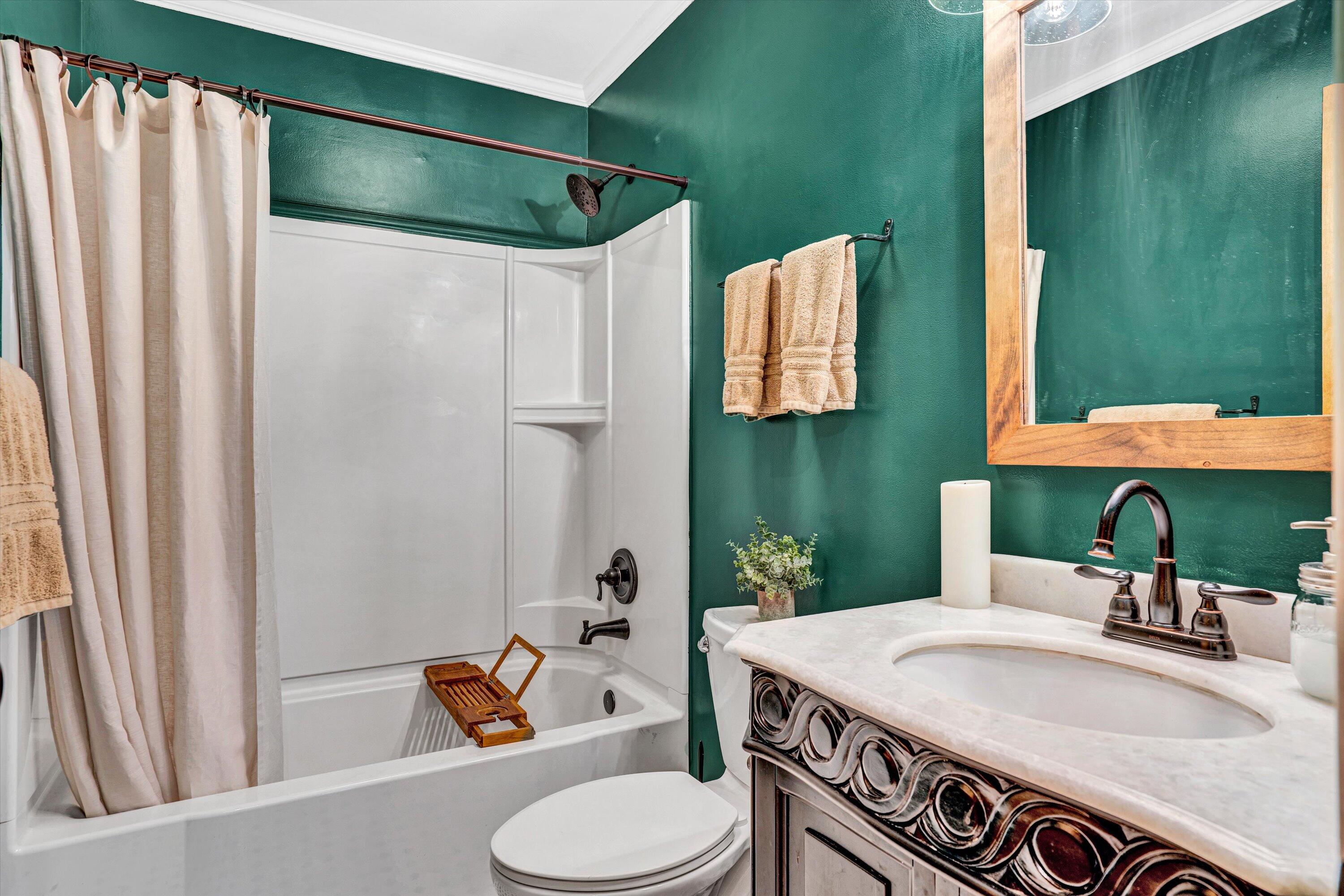 1033 Hickory Falls Road Blue Ridge, VA 24064 - Photo 21 of 52 a bathroom with a sink toilet and shower
