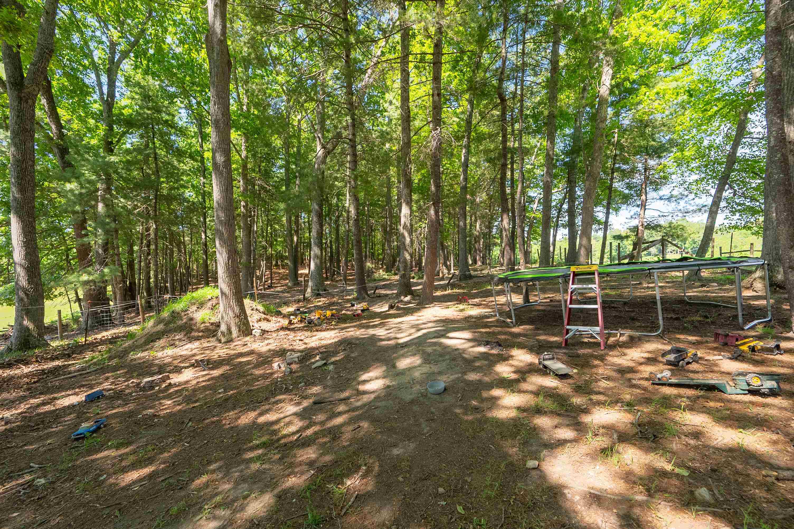 1865 Oak Grove Road Woodlawn, VA 24381 - Photo 70 of 82 Gallery Image 70