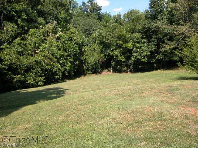 6325 Lochinvar Drive Rural Hall, NC 27045 - Photo 9 of 9 Other. Back yard