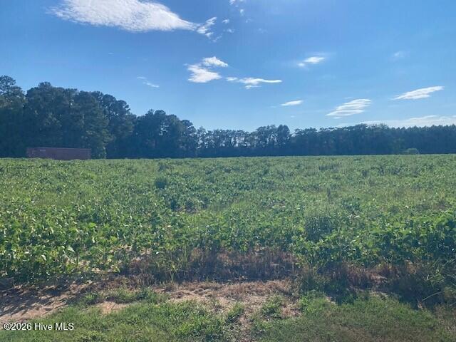 0 Stott Road Bailey, NC 27807 - Photo 4 of 12 Gallery Image 4