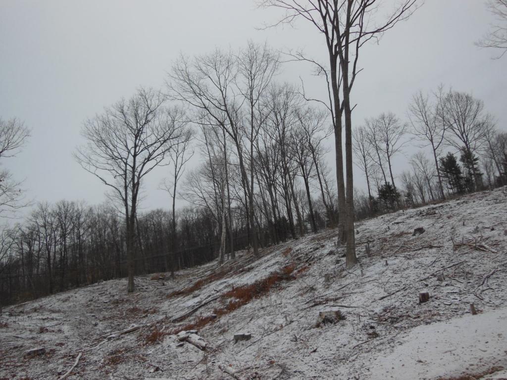 5 Sawyer Lake Road Gilmanton, NH 03237 - Photo 11 of 12 Gallery Image 11