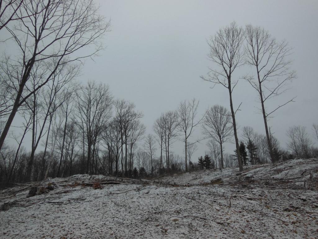 5 Sawyer Lake Road Gilmanton, NH 03237 - Photo 12 of 12 Gallery Image 12