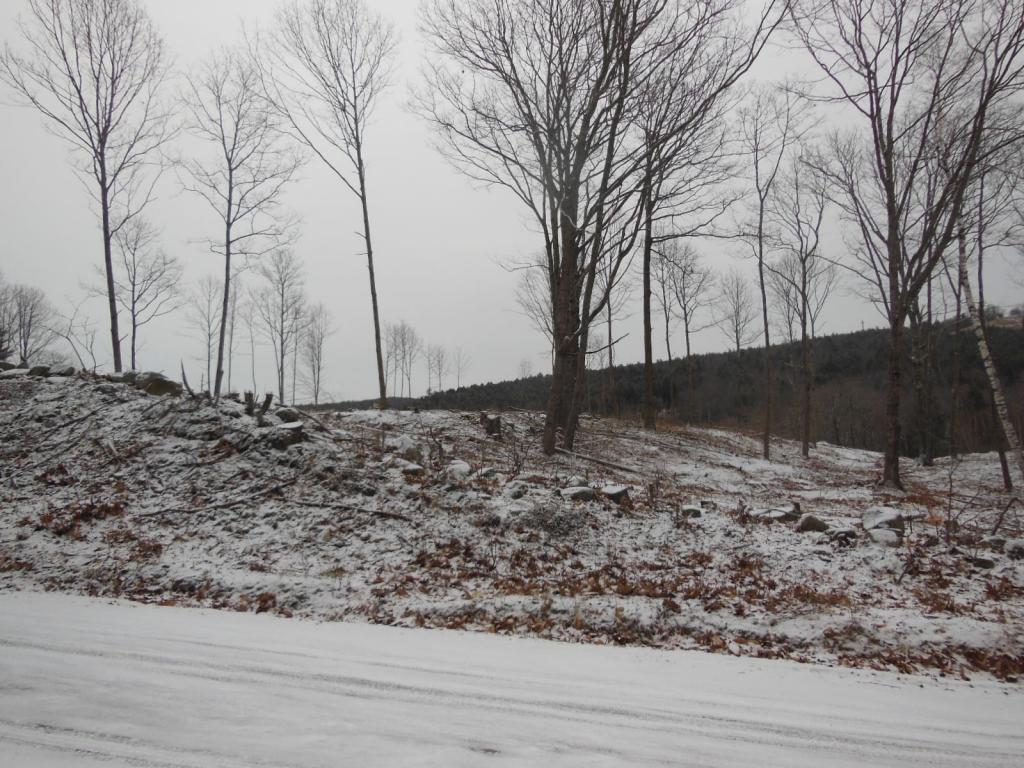 5 Sawyer Lake Road Gilmanton, NH 03237 - Photo 6 of 12 Gallery Image 6