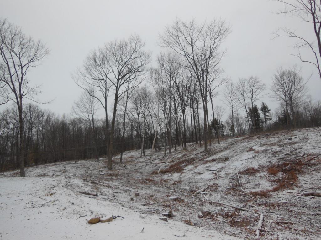 5 Sawyer Lake Road Gilmanton, NH 03237 - Photo 10 of 12 Gallery Image 10