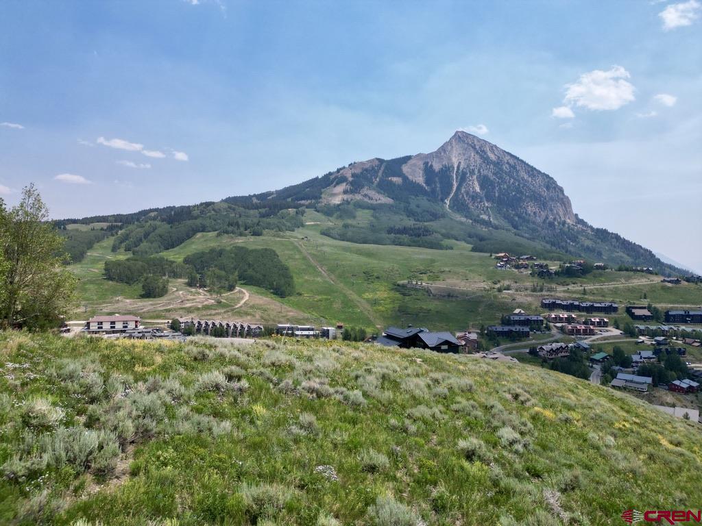 19 Buttercup Lane Crested Butte, CO 81225 - Photo 12 of 17 a view of a lush green field