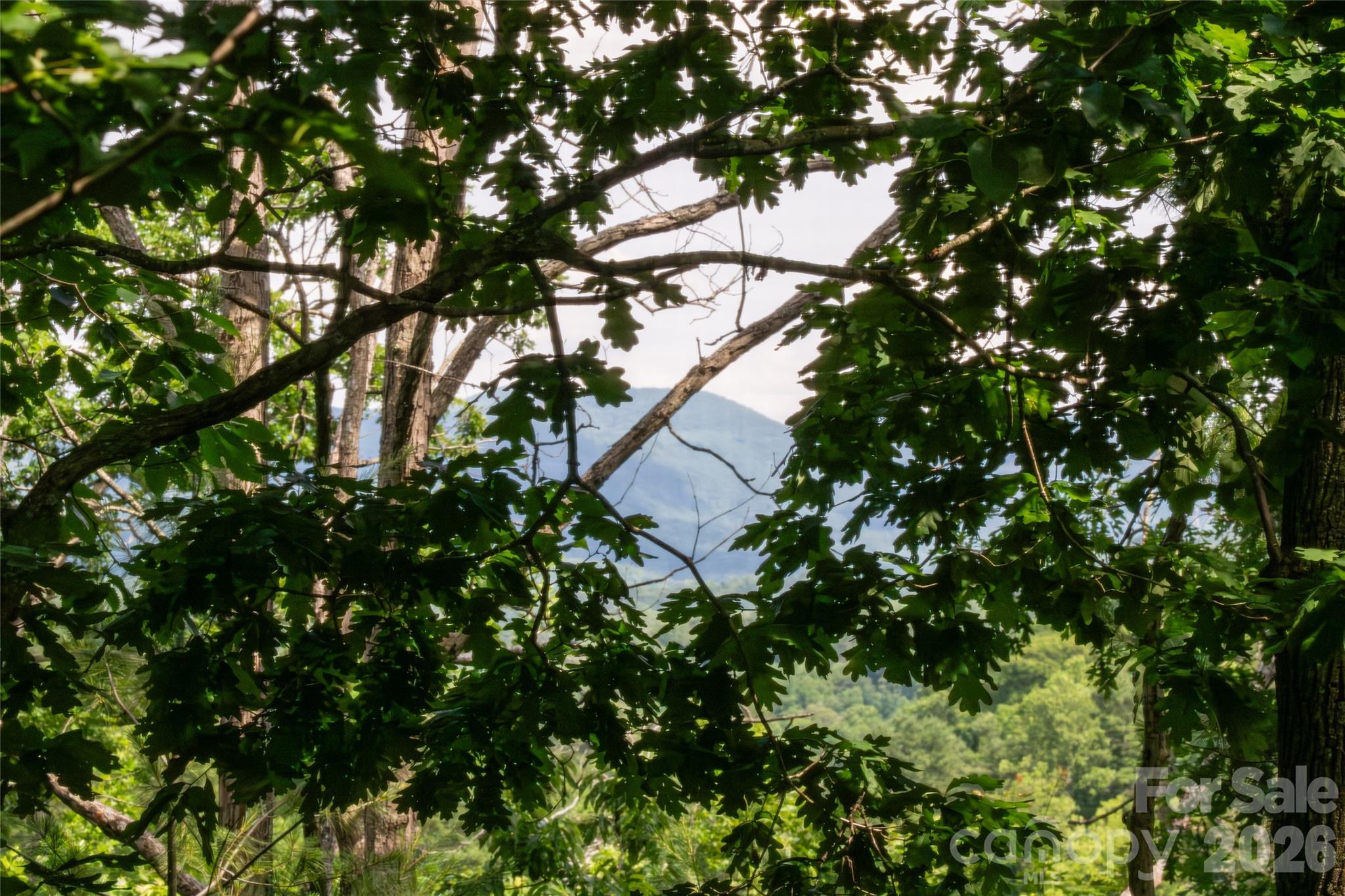 8 Sugarland Ridge Trail Fairview, NC 28730 - Photo 28 of 28