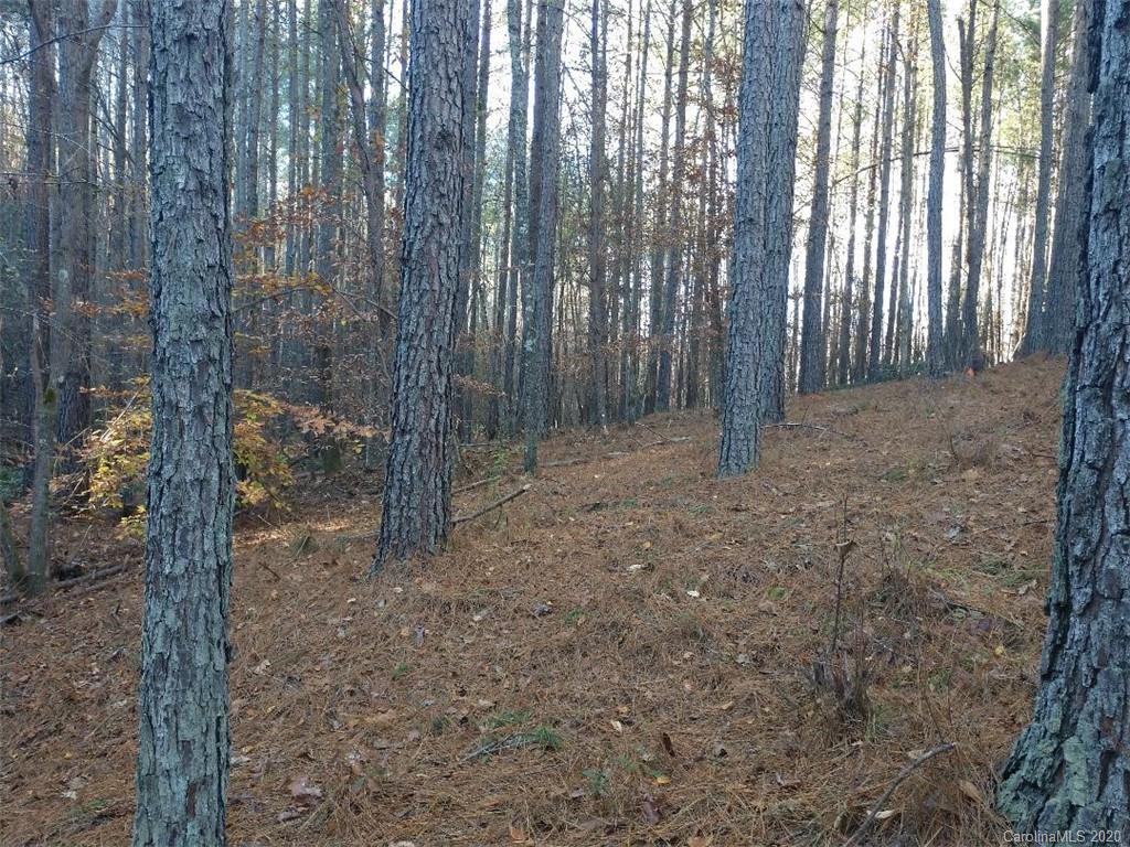0 South Nc Highway, Unit A Tryon, NC 28782 - Photo 3 of 3 a view of a forest with trees in the background