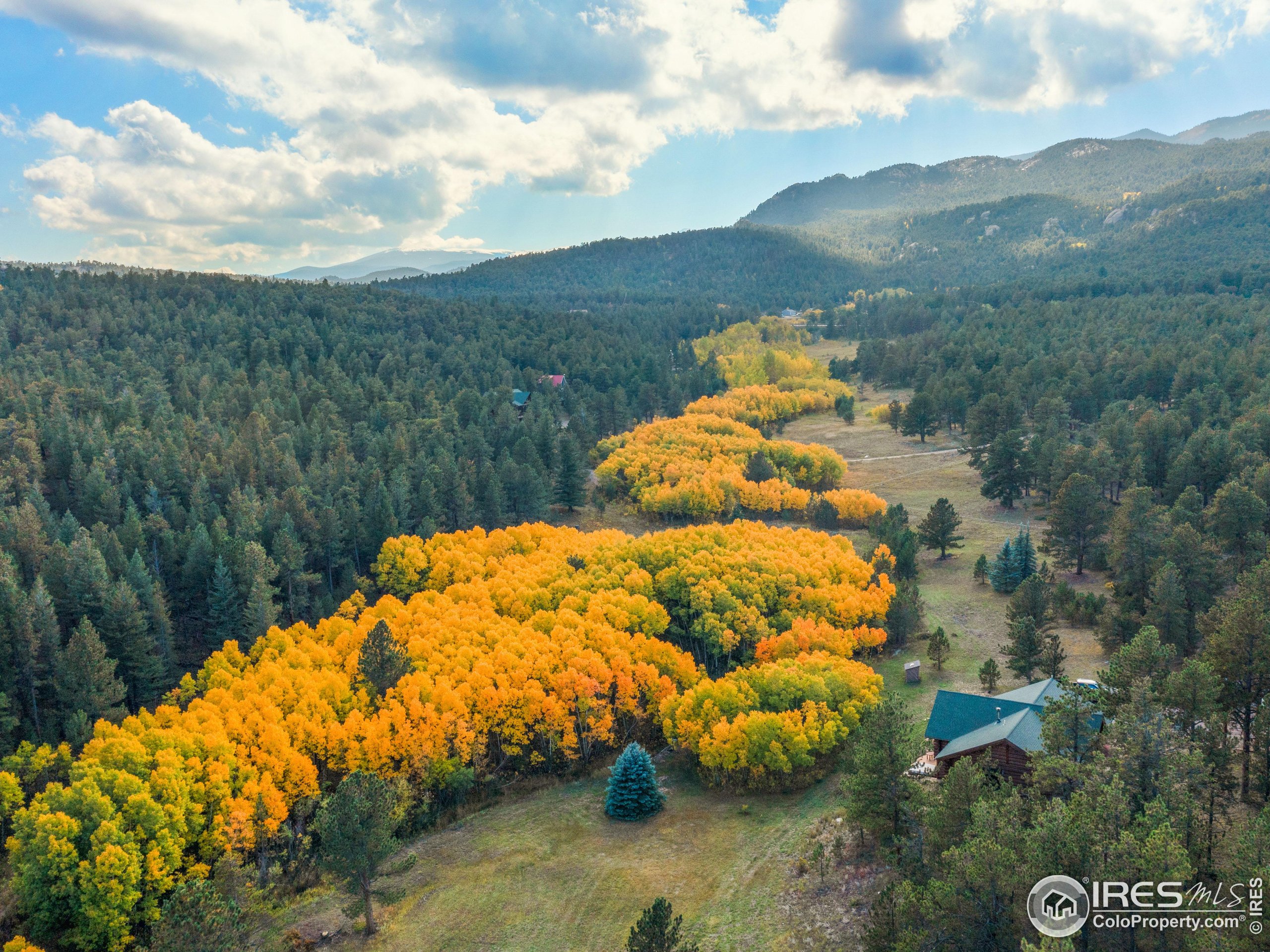 470 Big John Road Lyons, CO 80540 - Photo 11 of 38 a backyard of a house with lots of green space