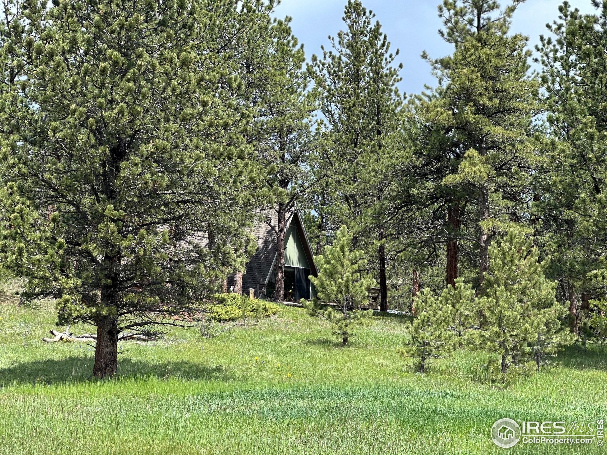 470 Big John Road Lyons, CO 80540 - Photo 38 of 38 a view of outdoor space and yard