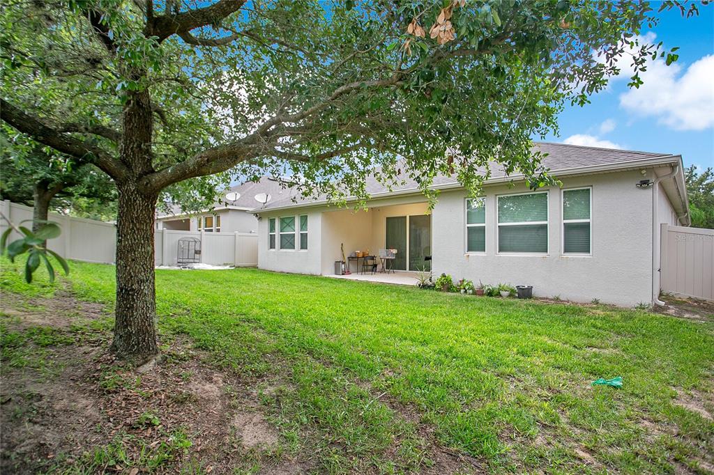 4918 Wildwood Pointe Road Winter Garden, FL 34787 - Photo 23 of 33 a view of a house with backyard and a tree