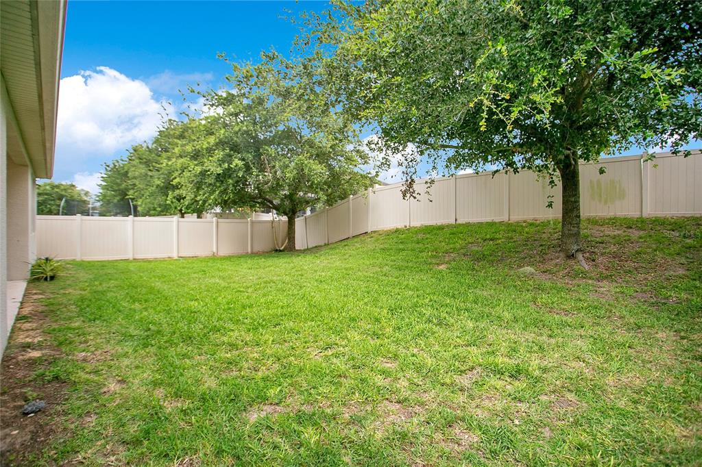 4918 Wildwood Pointe Road Winter Garden, FL 34787 - Photo 24 of 33 a view of a backyard with a tree