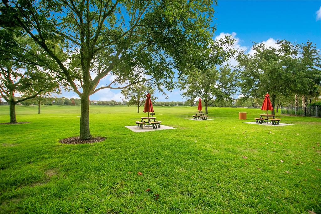 4918 Wildwood Pointe Road Winter Garden, FL 34787 - Photo 28 of 33 a view of garden with trees