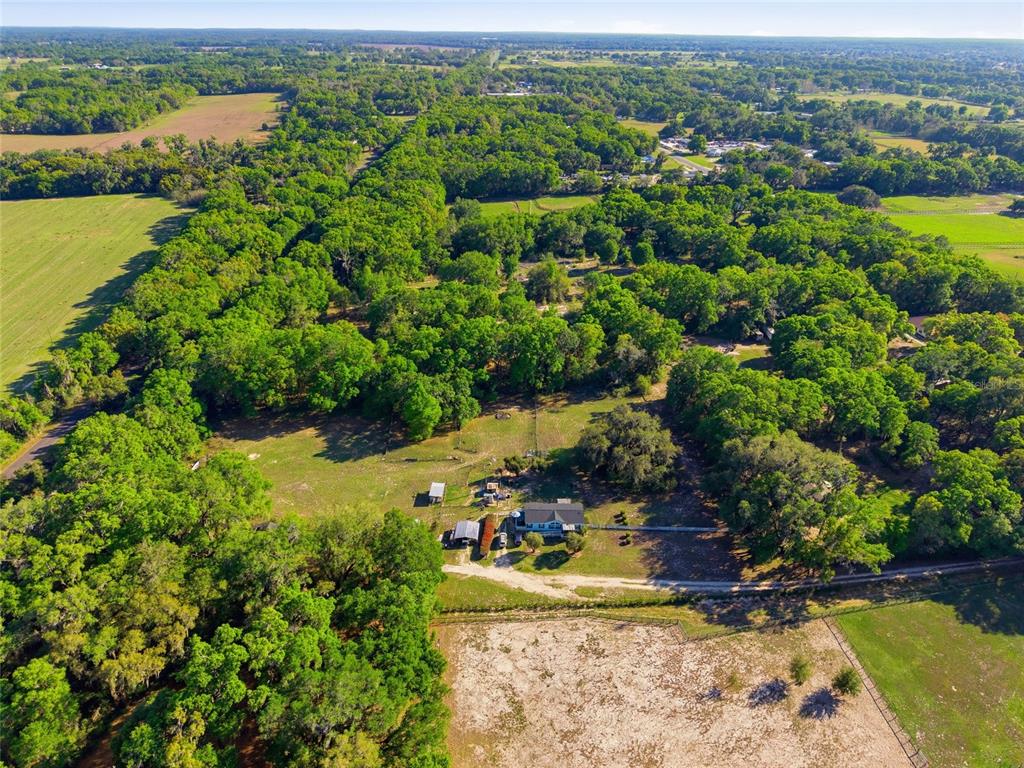 13841 Northeast Jacksonville Road Citra, FL 32113 - Photo 6 of 21