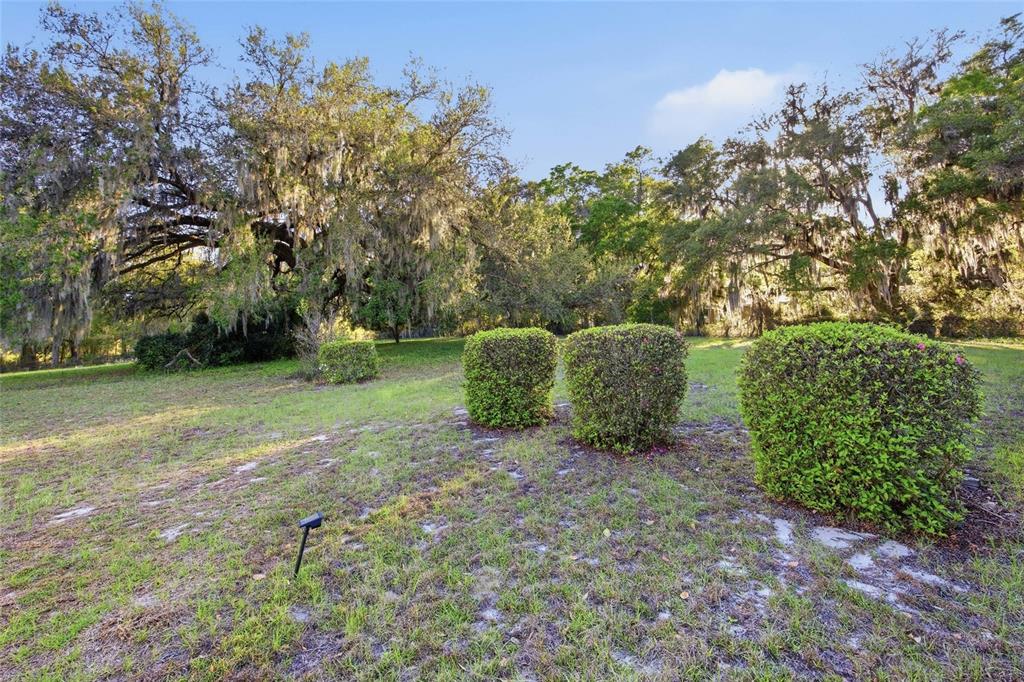 13841 Northeast Jacksonville Road Citra, FL 32113 - Photo 8 of 21