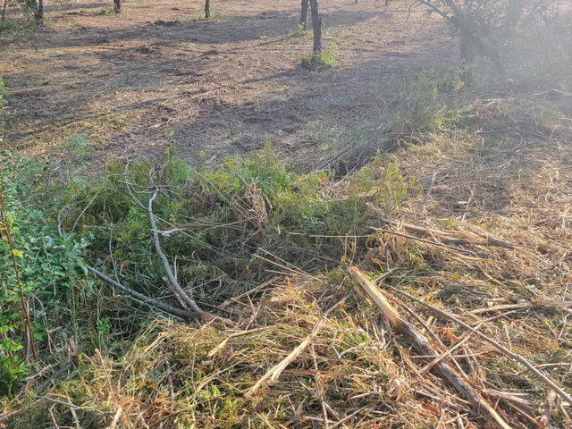 $350,000 | 14115 Edgerton Avenue Northeast, Cedar Springs, MI 49319