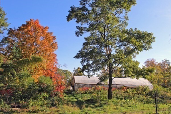 346 Leyden Road Greenfield, MA 01301 - Photo 8 of 42 Gallery Image 8