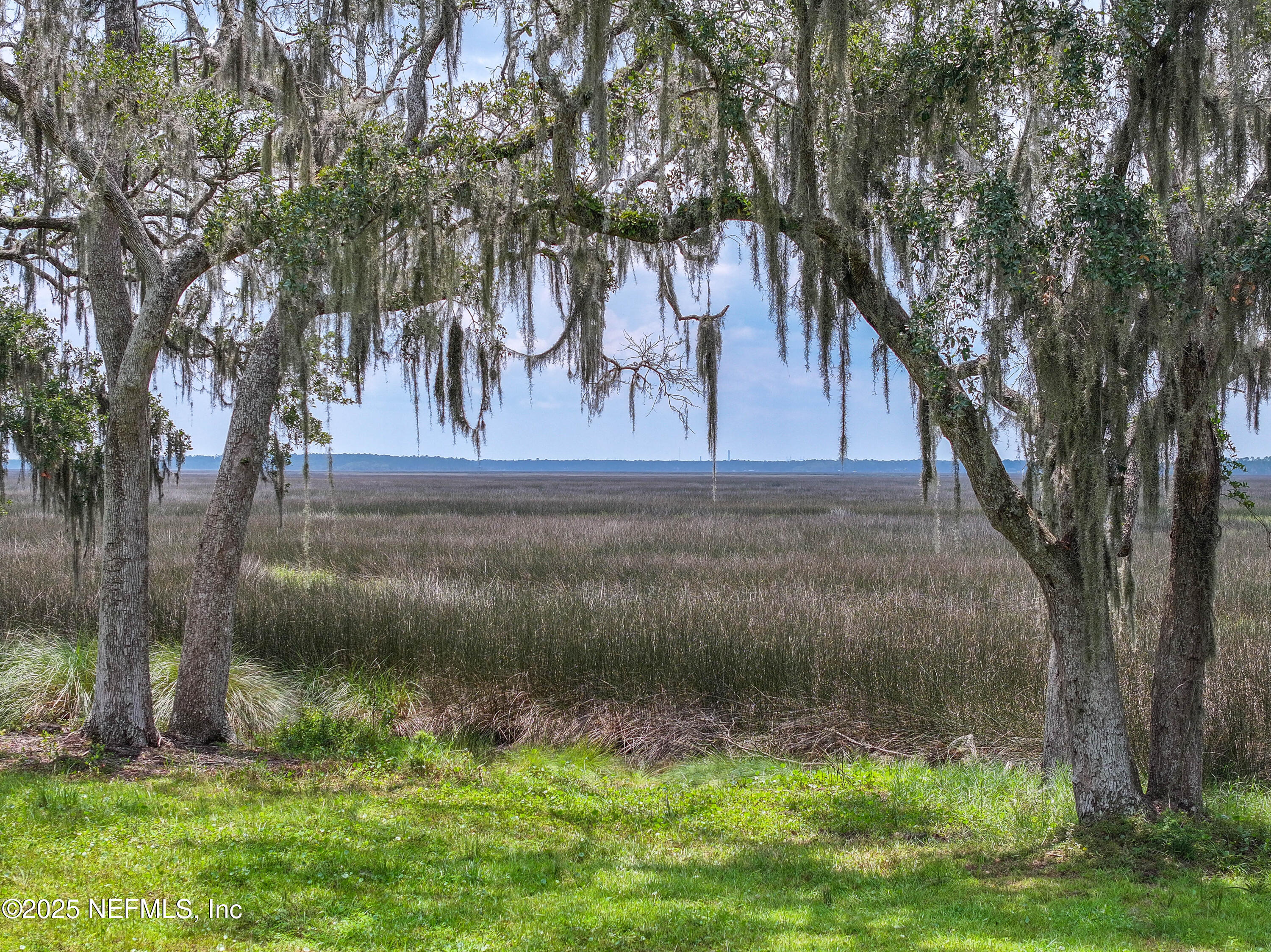85013 Avant Road Yulee, FL 32097 - Photo 4 of 21 a view of backyard with green space