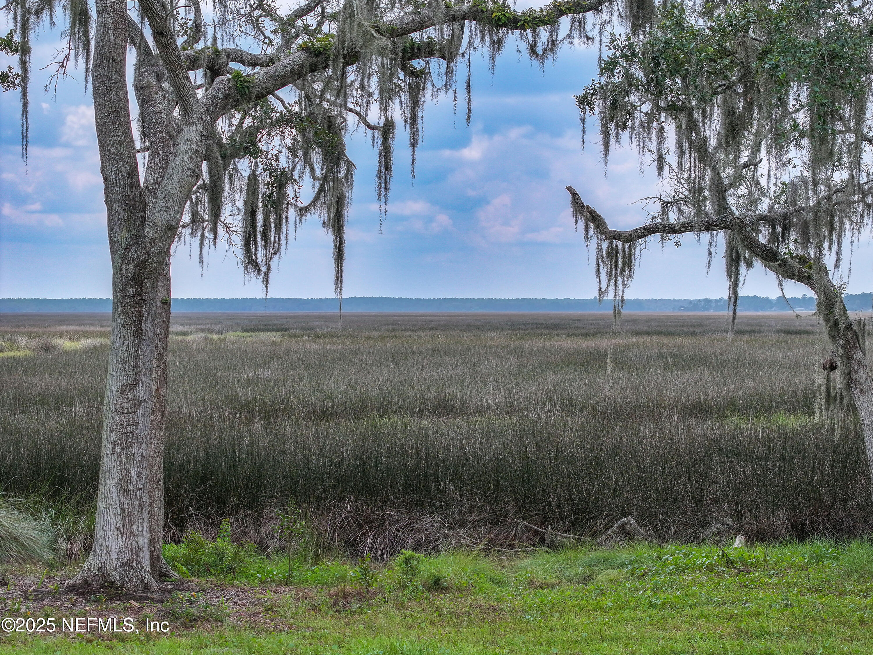 85013 Avant Road Yulee, FL 32097 - Photo 6 of 21 a view of a yard and an trees