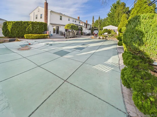 a bunch of flowers are in a garden