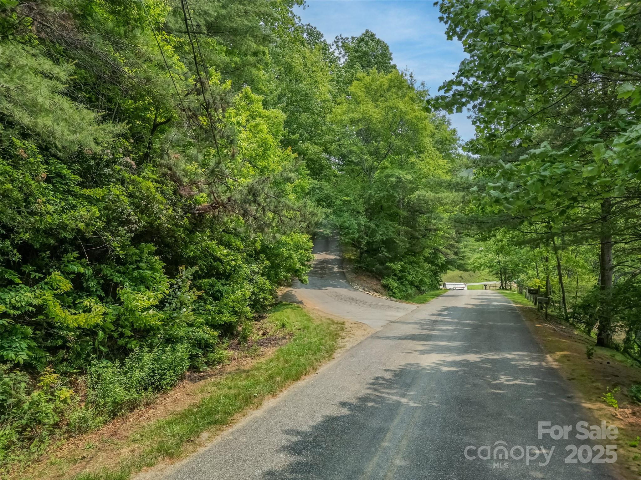 0 Israel Road Brevard, NC 28712 - Photo 4 of 17