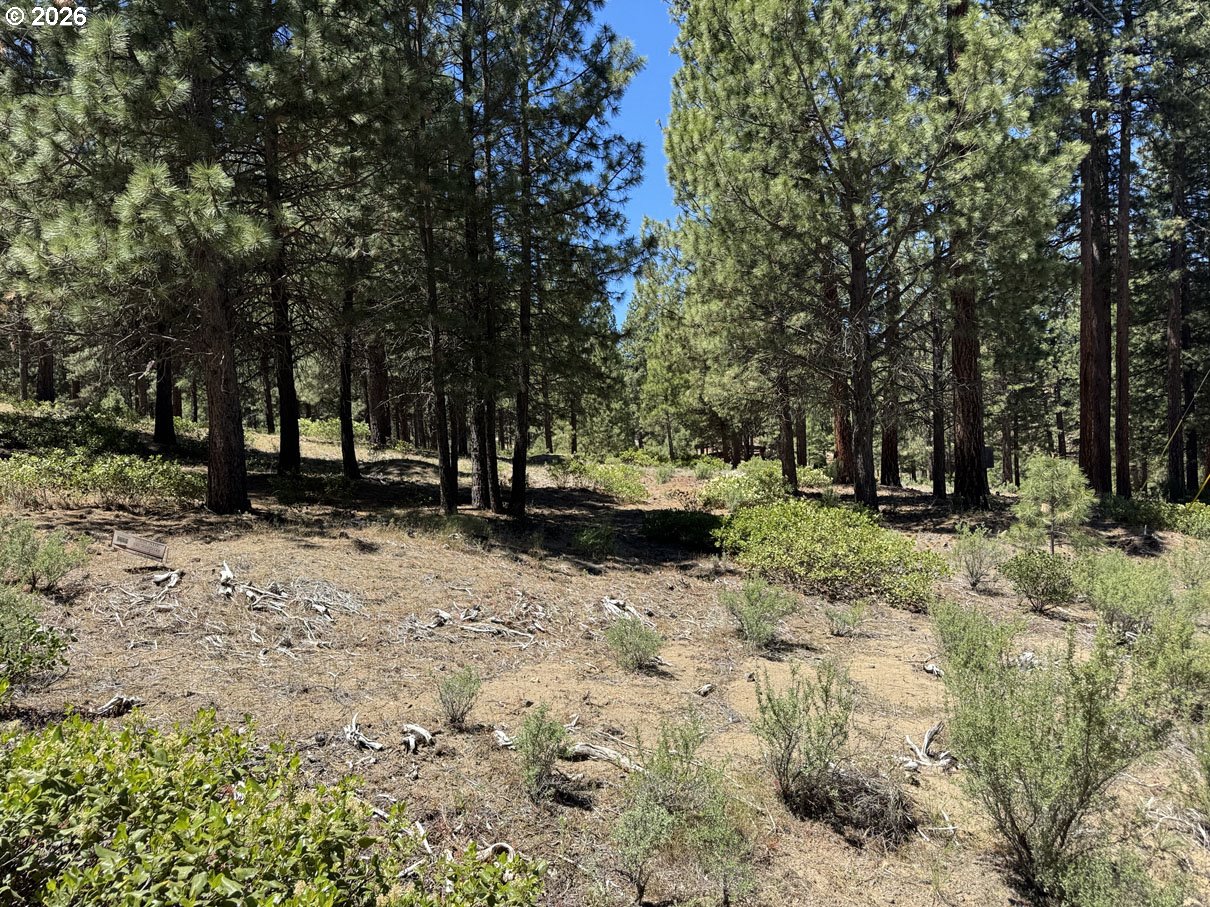 Incline Drive, Unit 22 Chiloquin, OR 97624 - Photo 12 of 19