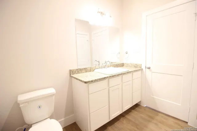 a bathroom with a sink and a toilet