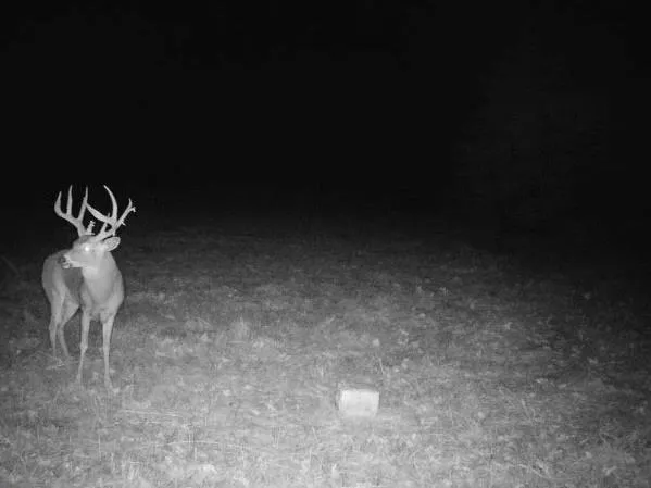 $153,400 | 0 C Highway, Albany, MO 64402