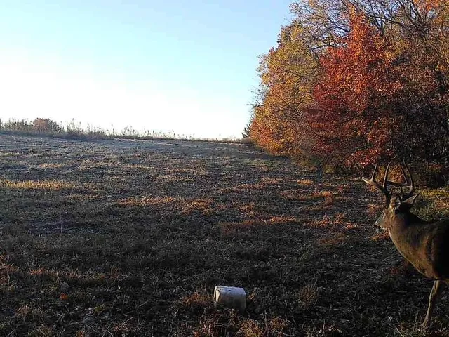 $153,400 | 0 C Highway, Albany, MO 64402