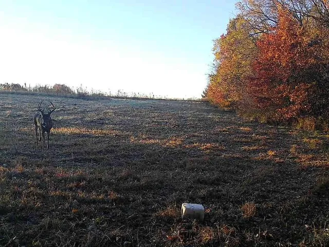 $153,400 | 0 C Highway, Albany, MO 64402