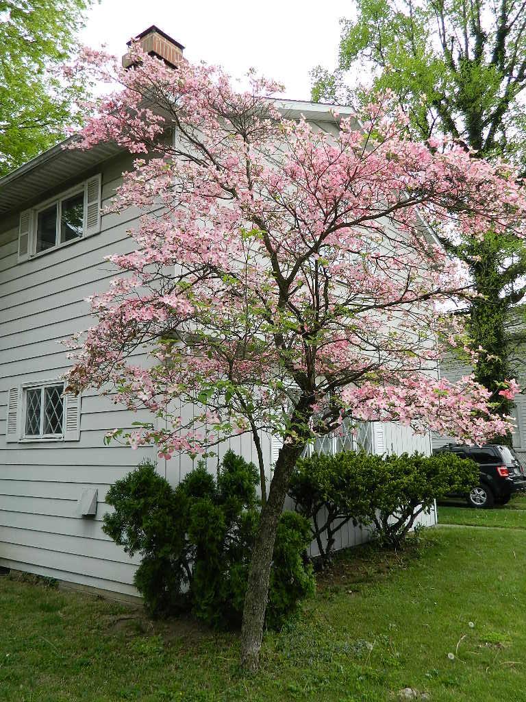 700 Mt Vernon Road Newark, OH 43055 - Photo 15 of 15 Gallery Image 15