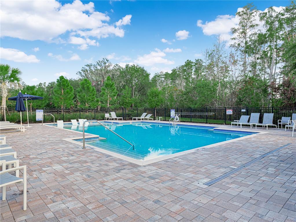 4580 Sparkling Shell Avenue Kissimmee, FL 34746 - Photo 4 of 42 a view of a swimming pool with a yard