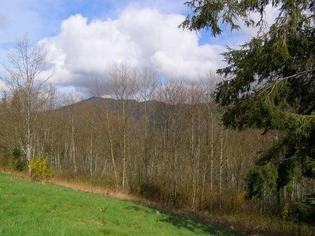 41 Skyview Road Tillamook, OR 97141 - Photo 32 of 33 P3180293
