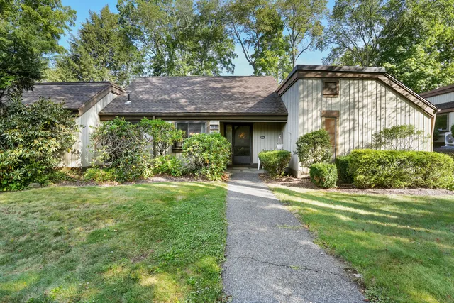 a view of a house with a garden