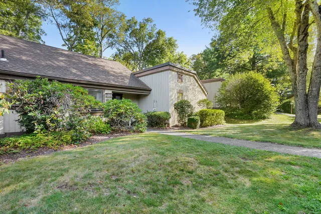 a view of a backyard with a garden and plants