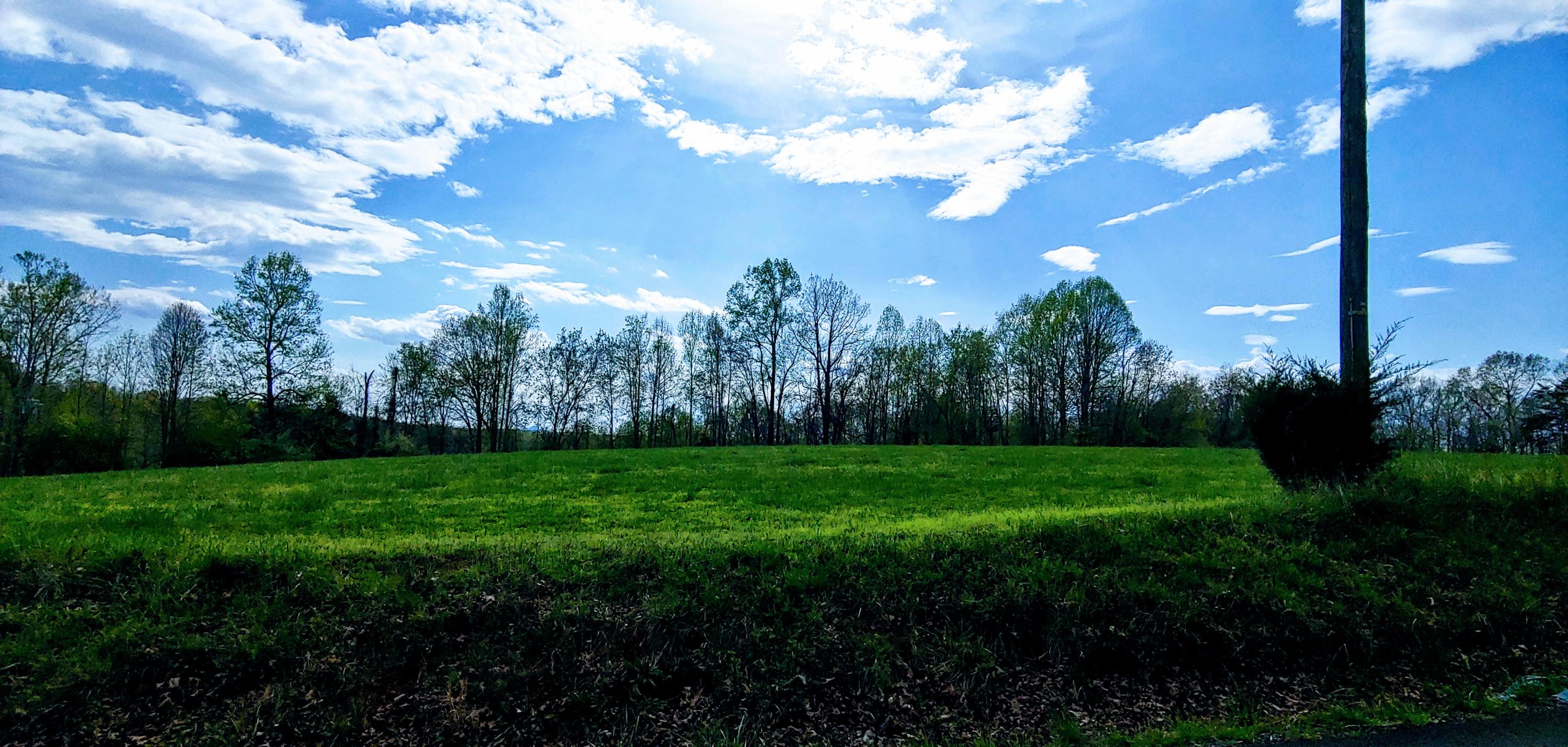 Lot 17 Horseshoe Bend Road Goodview, VA 24095 - Photo 1 of 31 a view of a big yard with plants and large trees
