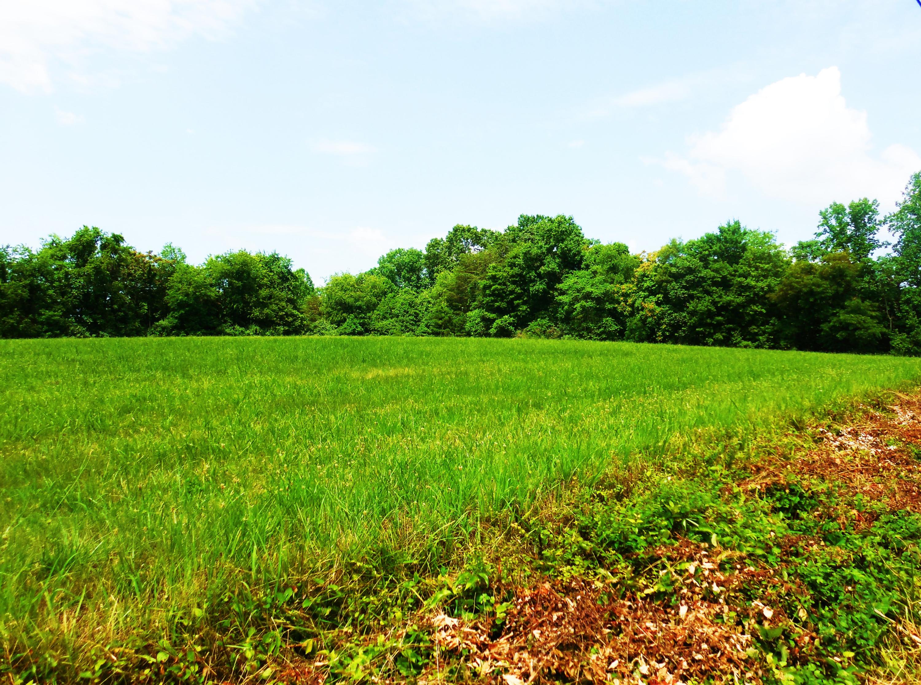 Lot 17 Horseshoe Bend Road Goodview, VA 24095 - Photo 11 of 31 a view of a grassy field with trees