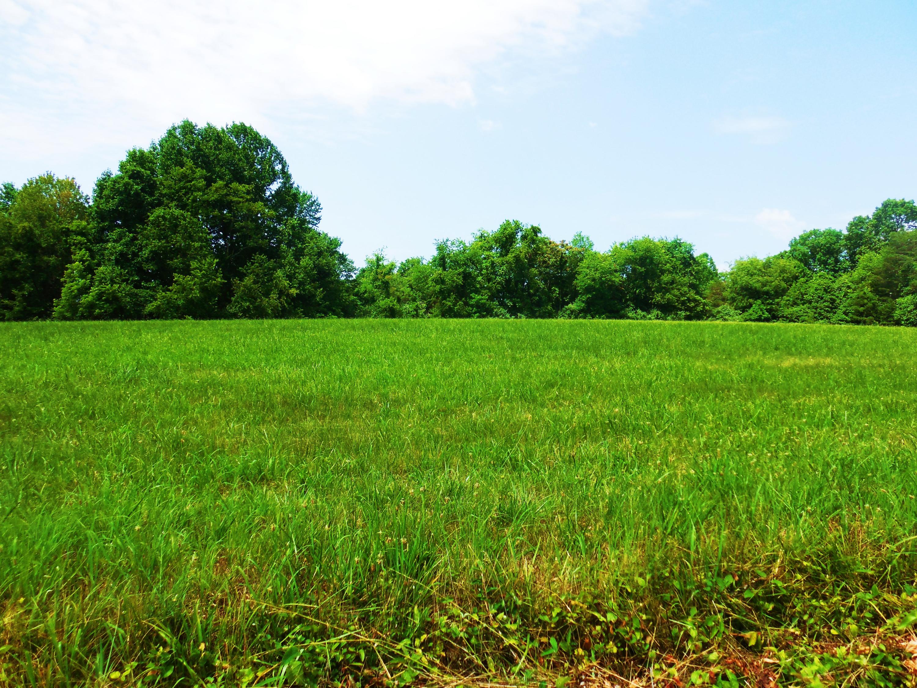 Lot 17 Horseshoe Bend Road Goodview, VA 24095 - Photo 12 of 31 a view of field with trees in the background