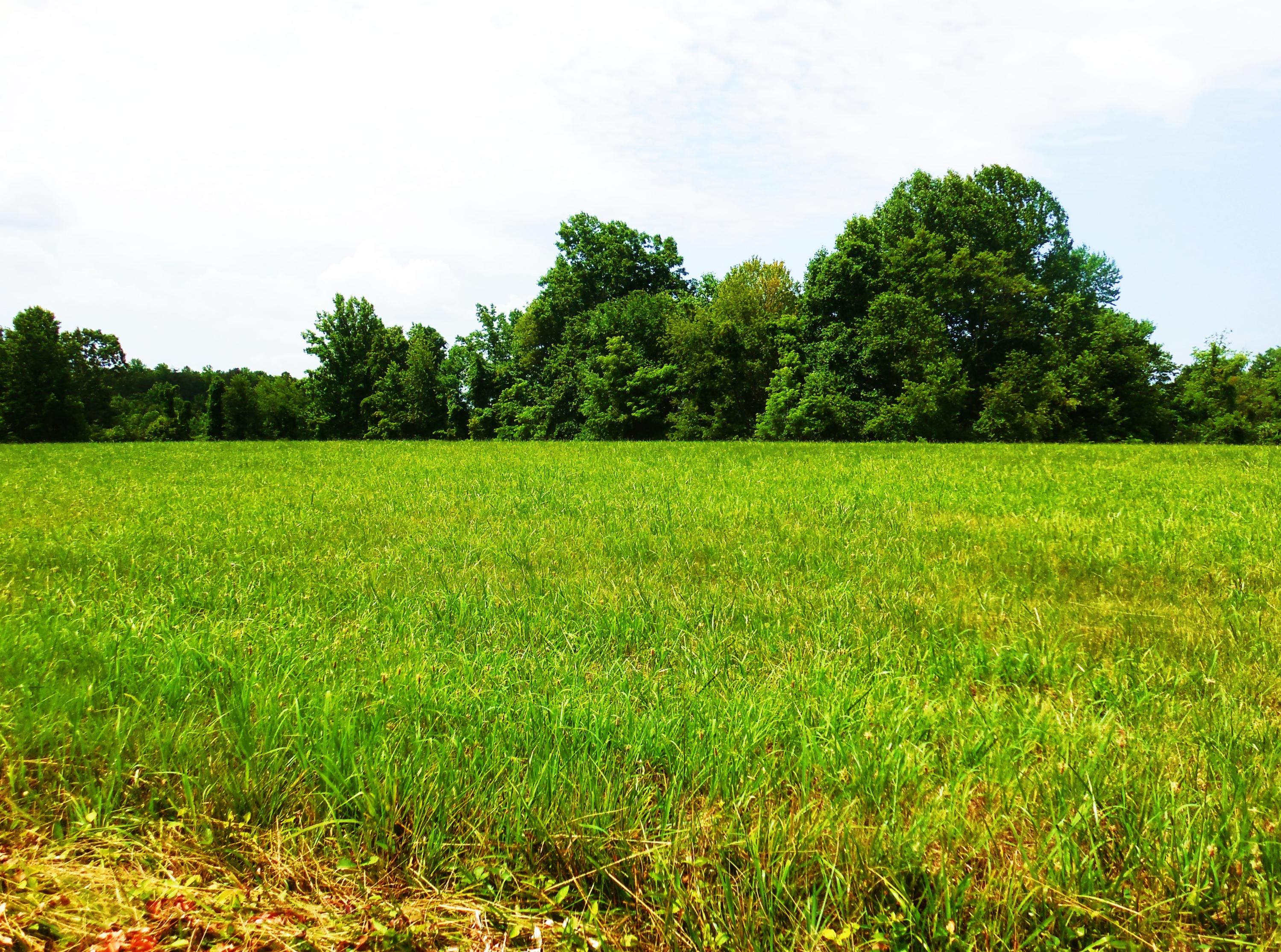 Lot 17 Horseshoe Bend Road Goodview, VA 24095 - Photo 13 of 31 a view of field with trees in the background