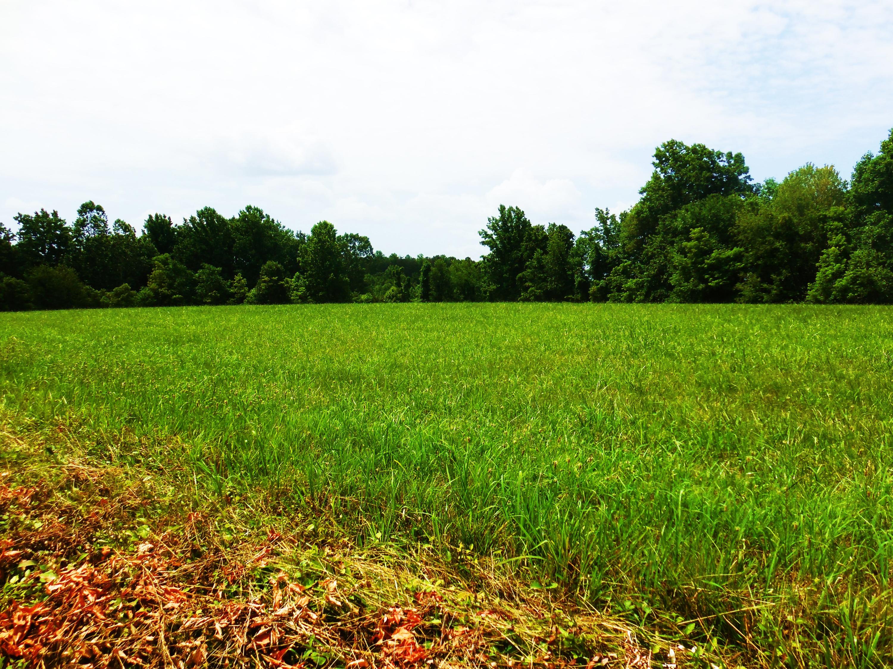 Lot 17 Horseshoe Bend Road Goodview, VA 24095 - Photo 14 of 31 a view of field with trees in the background