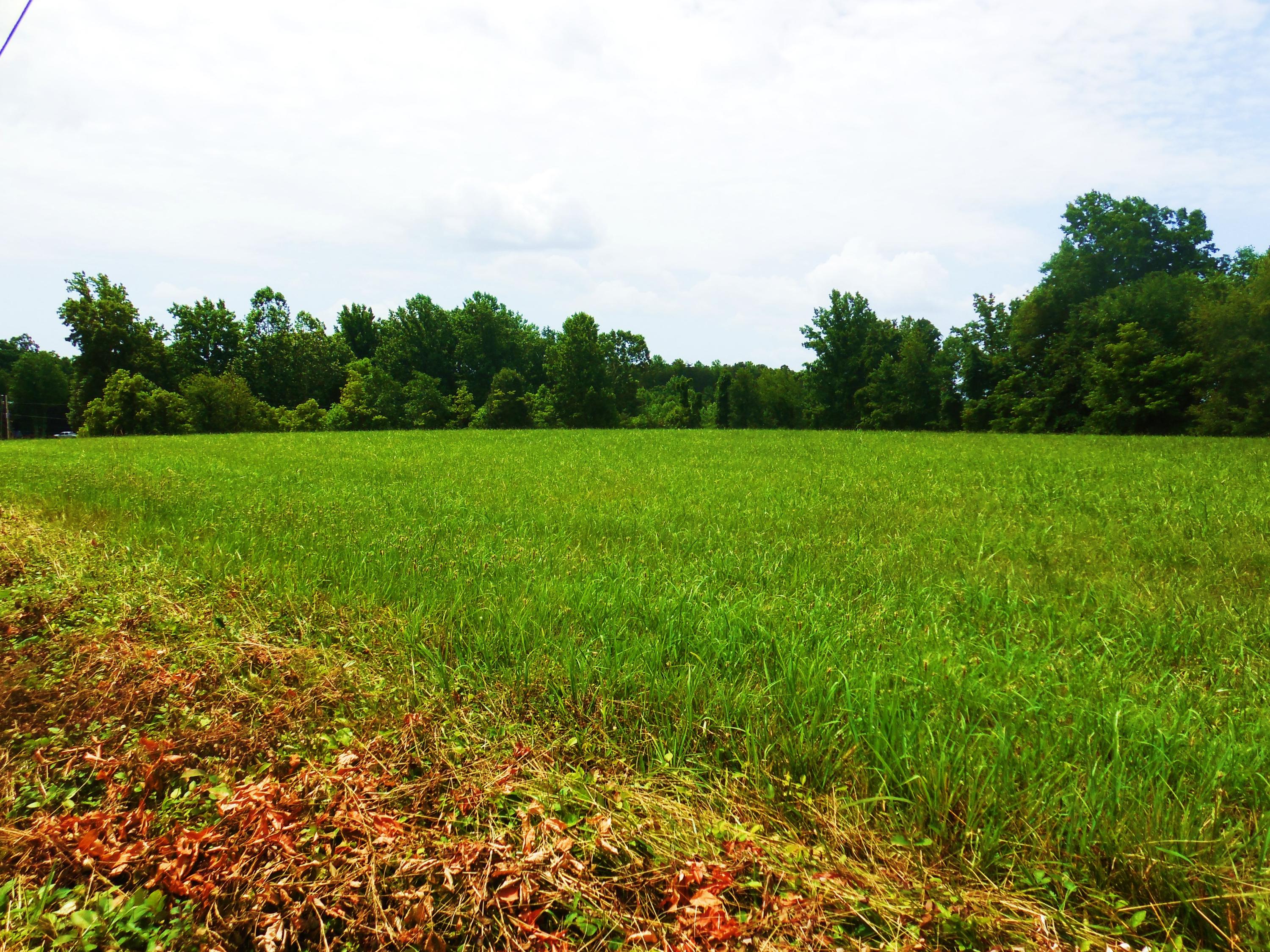 Lot 17 Horseshoe Bend Road Goodview, VA 24095 - Photo 15 of 31 a view of field with trees in the background